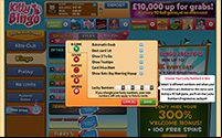 In-game settings at Kitty bingo