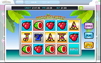 Play Fancy Bingo’s ‘Paradise Reels’ Slot
